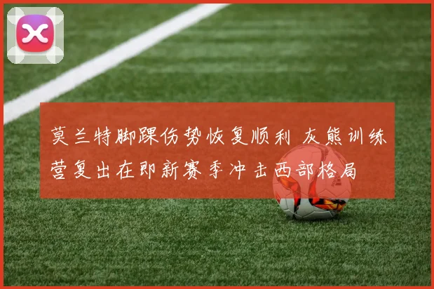 莫兰特脚踝伤势恢复顺利 灰熊训练营复出在即新赛季冲击西部格局