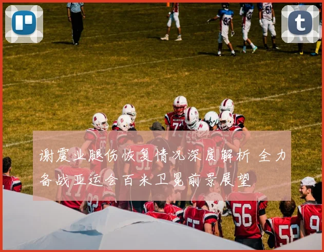 谢震业腿伤恢复情况深度解析 全力备战亚运会百米卫冕前景展望