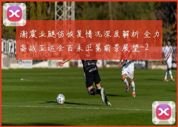 谢震业腿伤恢复情况深度解析 全力备战亚运会百米卫冕前景展望