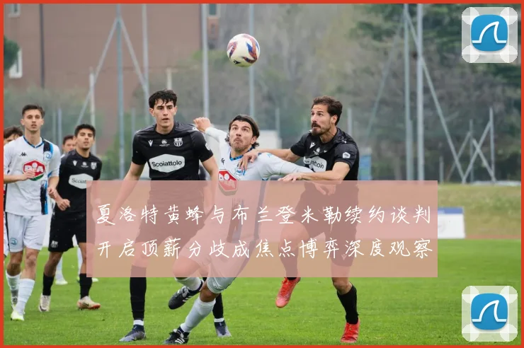 夏洛特黄蜂与布兰登米勒续约谈判开启顶薪分歧成焦点博弈深度观察